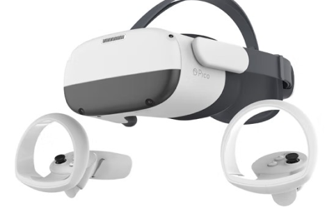 正宗大荔冬枣批发｜基地直供 量大价优