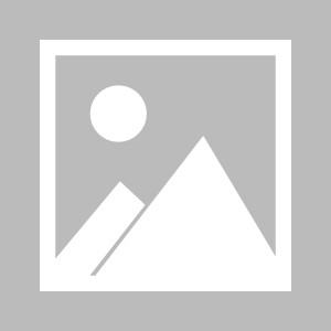 一颗冬枣甜四海：解密“中国冬枣第一县”的百亿甜蜜产业